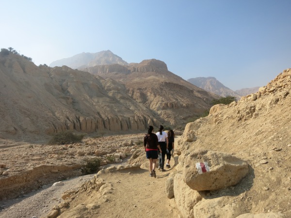 Wadi Arugot | Rebecca@22